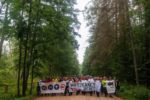 Bialowieza the last wild forest in Europe