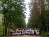 Calls for help: Bialowieza–the last wild forest in Europe