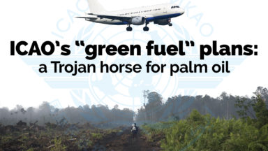 Almost 100 Organisations Worldwide Condemn UN Aviation Agency’s Biofuel Plans