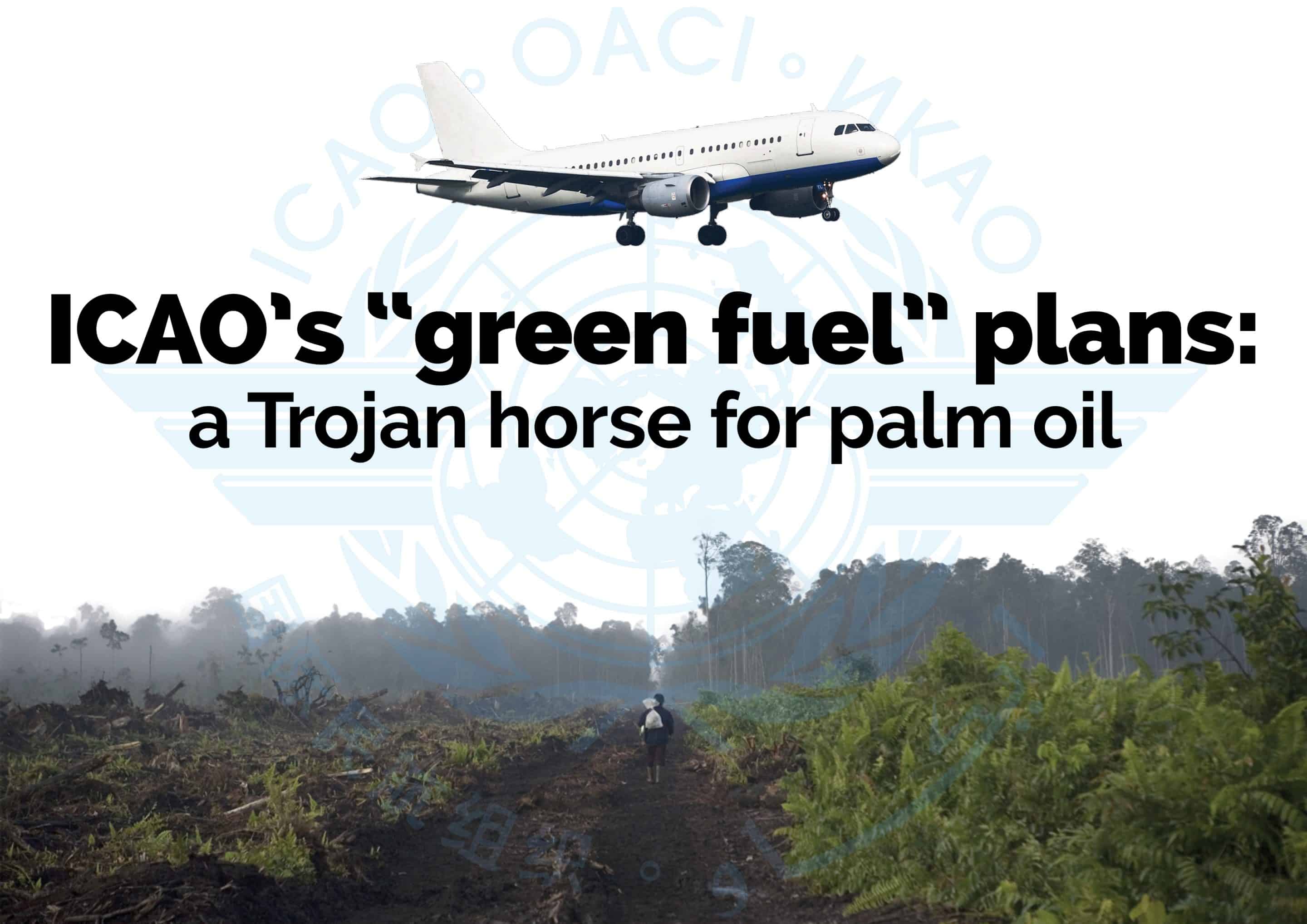 2-curioso-photography-QLOJS4bKNxg-unsplash_