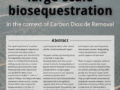 Working paper: The risks of large-scale biosequestration in the context of Carbon Dioxide Removal