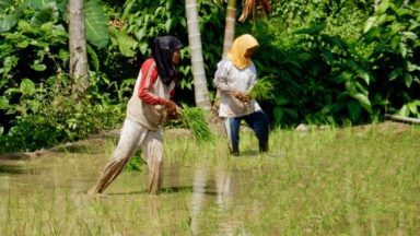 Indigenous West Sumatran Women Protect Forest