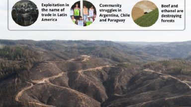 Forest Cover 54 – Latin America’s Veins Remain Open