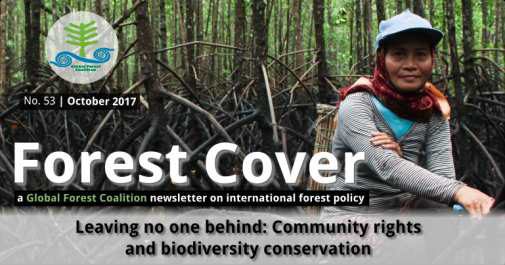 forest cover 53