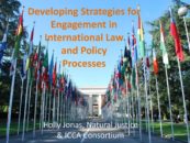 Presentation: Developing Strategies for Engagement in International Law and Policy Processes