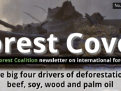Forest Cover 55 – The big four drivers of deforestation: beef, soy, wood and palm oil