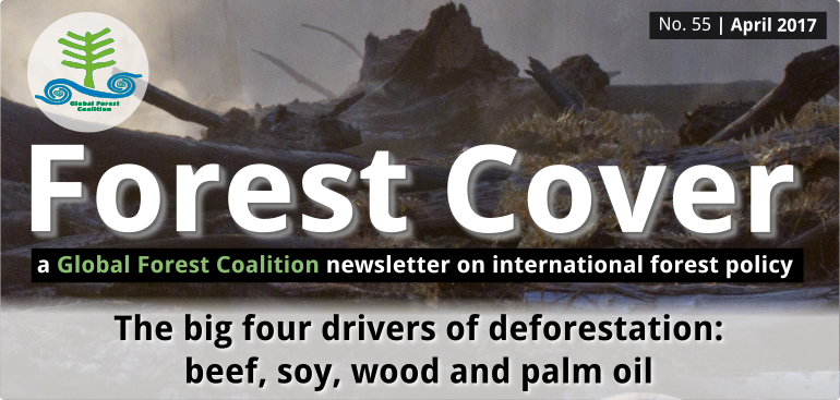 Global Forest Coalition The Big Four Drivers Of - 