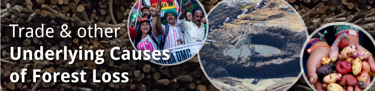 Underlying causes of deforestation banner