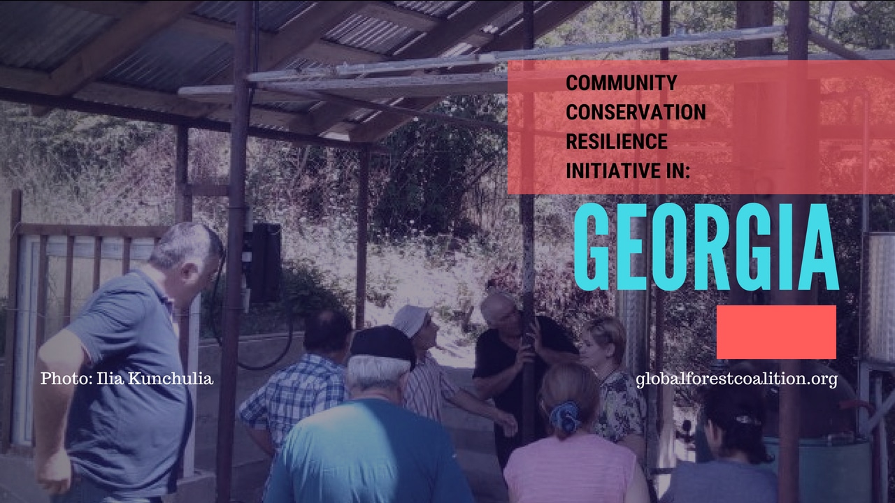 2-curioso-photography-QLOJS4bKNxg-unsplash_