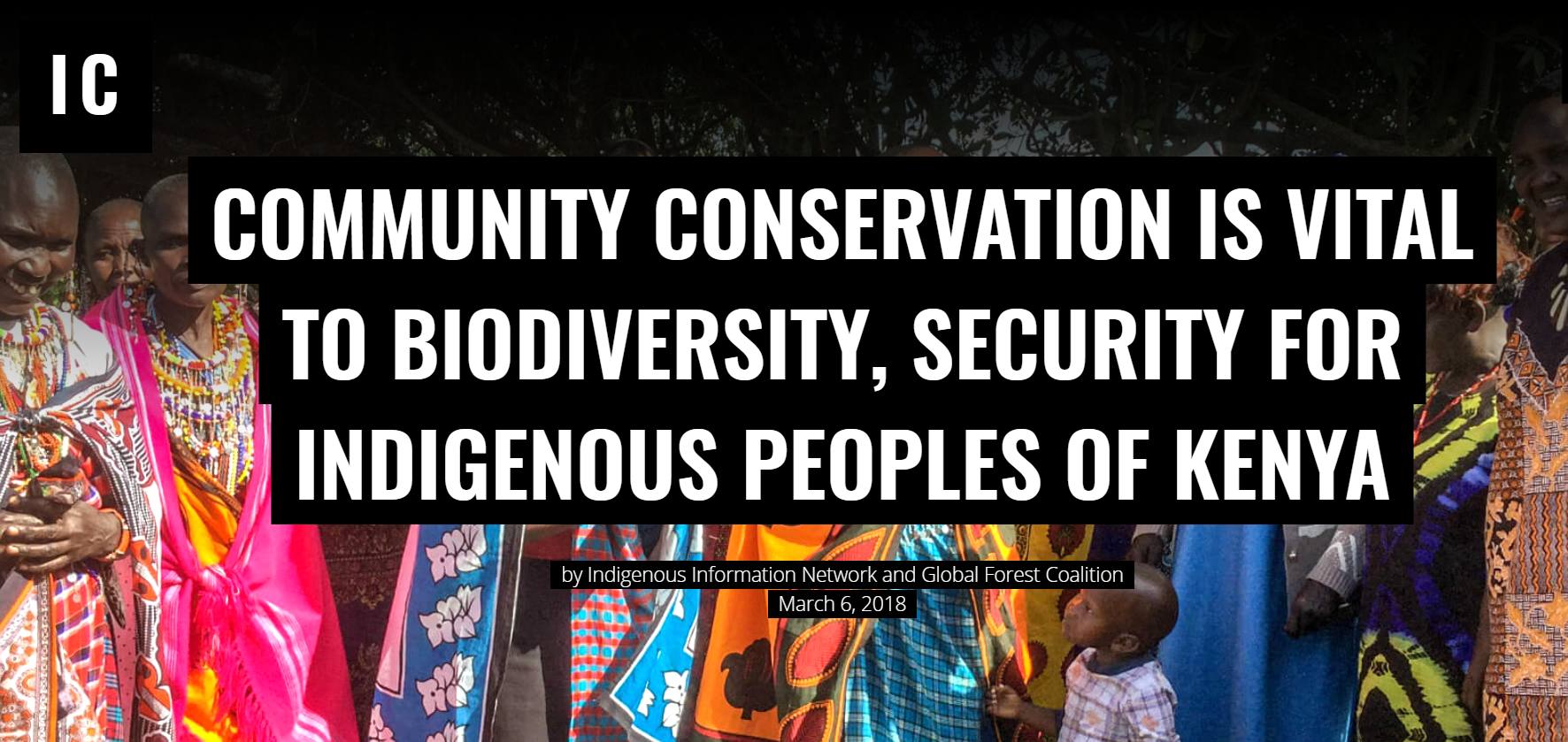 Global Forest Coalition Community Conservation Is Vital To Biodiversity Security For Indigenous 