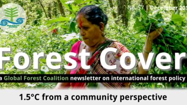 Forest Cover 57 – 1.5°C from a community perspective