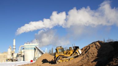 Mise en garde adressée aux investisseurs: la biomasse forestière est une activité risquée