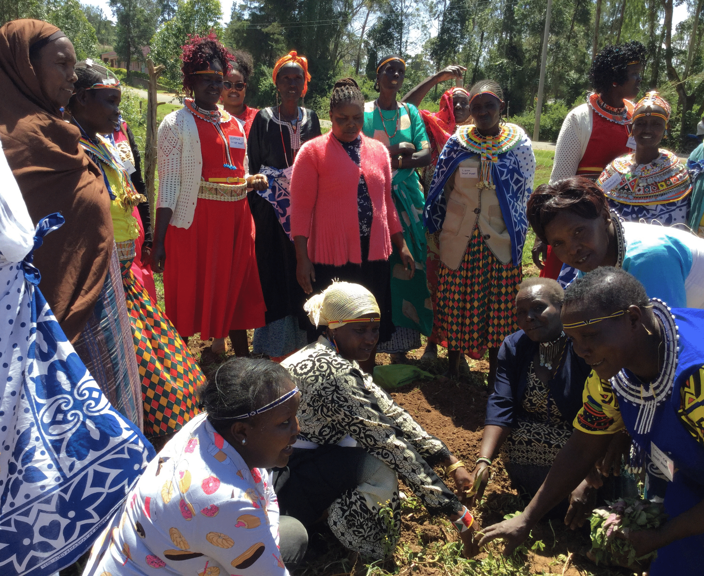 2-curioso-photography-QLOJS4bKNxg-unsplash_