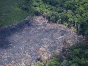 Crocodile tears will not help to put out the Amazon’s fires