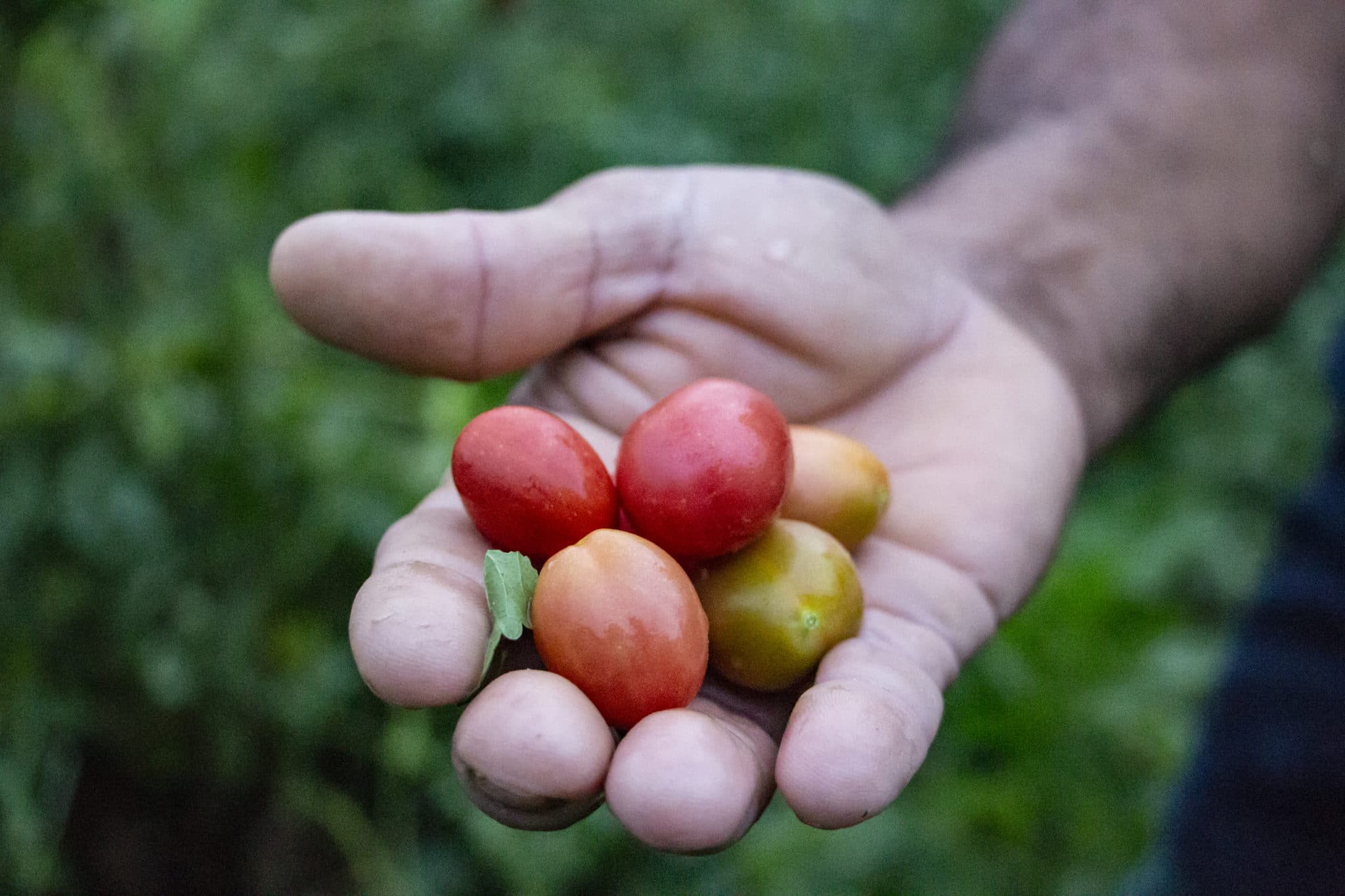 2-curioso-photography-QLOJS4bKNxg-unsplash_