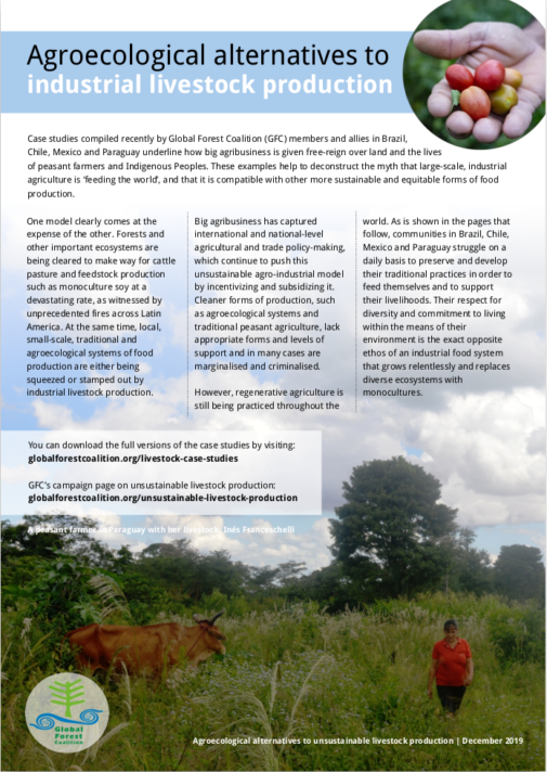 Global Forest Coalition New briefing: Agroecological alternatives to  industrial livestock production - Global Forest Coalition