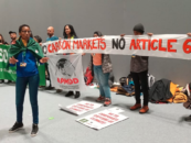 Mecanismos de mercado y dinero: Un resumen de lo que está en juego en la COP25 en Madrid