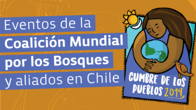 Eventos de la Coalición Mundial por los Bosques y aliados en Chile