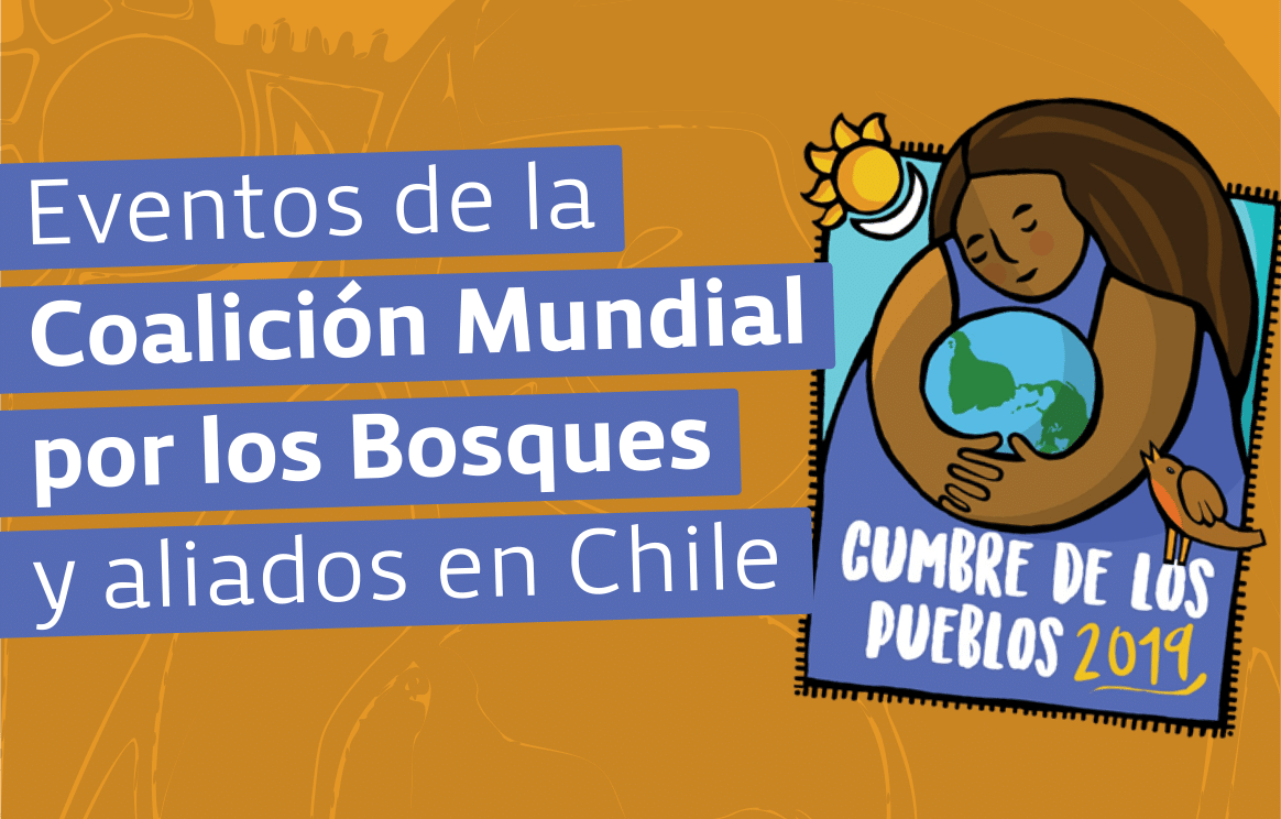 2-curioso-photography-QLOJS4bKNxg-unsplash_