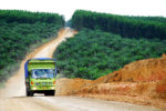 CIFOR/flickr