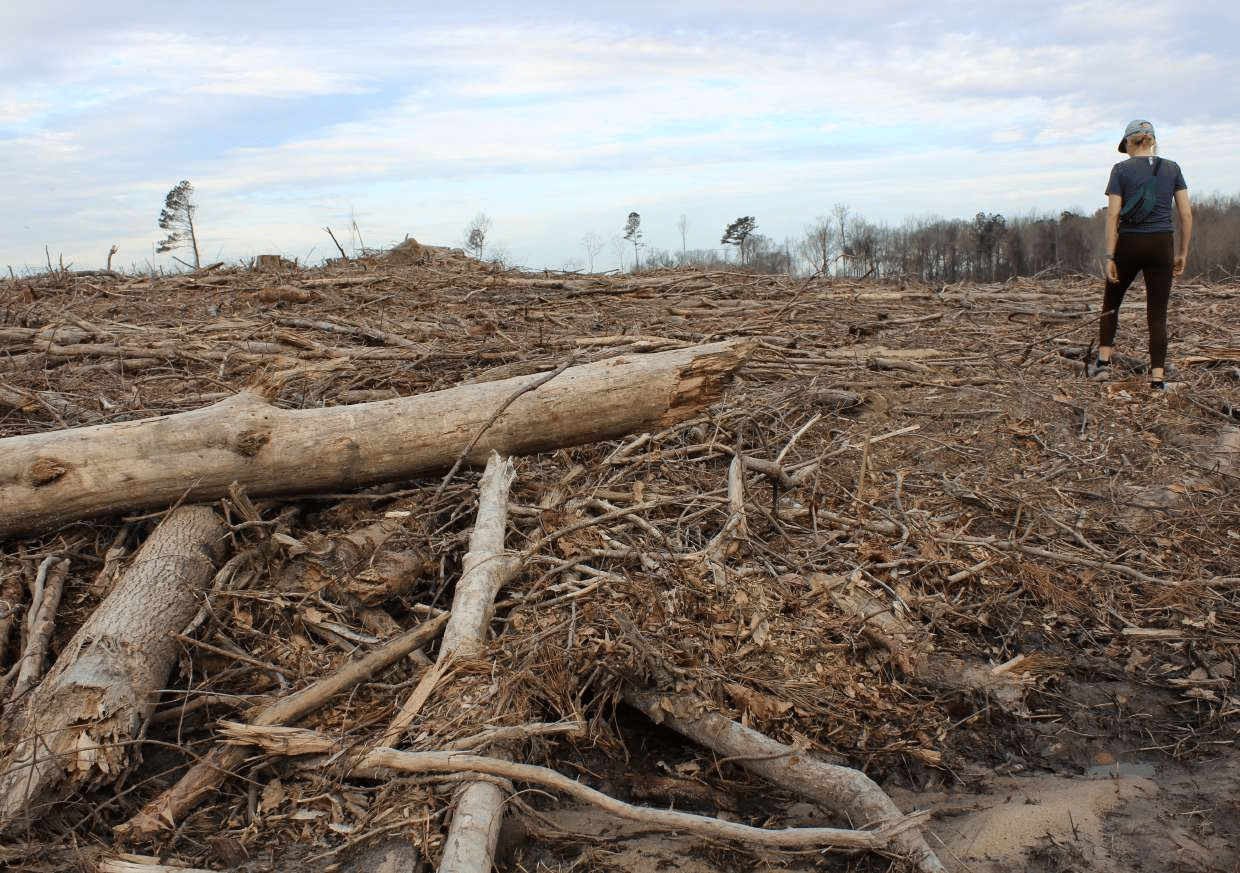 2-curioso-photography-QLOJS4bKNxg-unsplash_