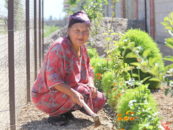 Women’s rights and traditional knowledge are crucial for conserving biodiversity in Kyrgyzstan