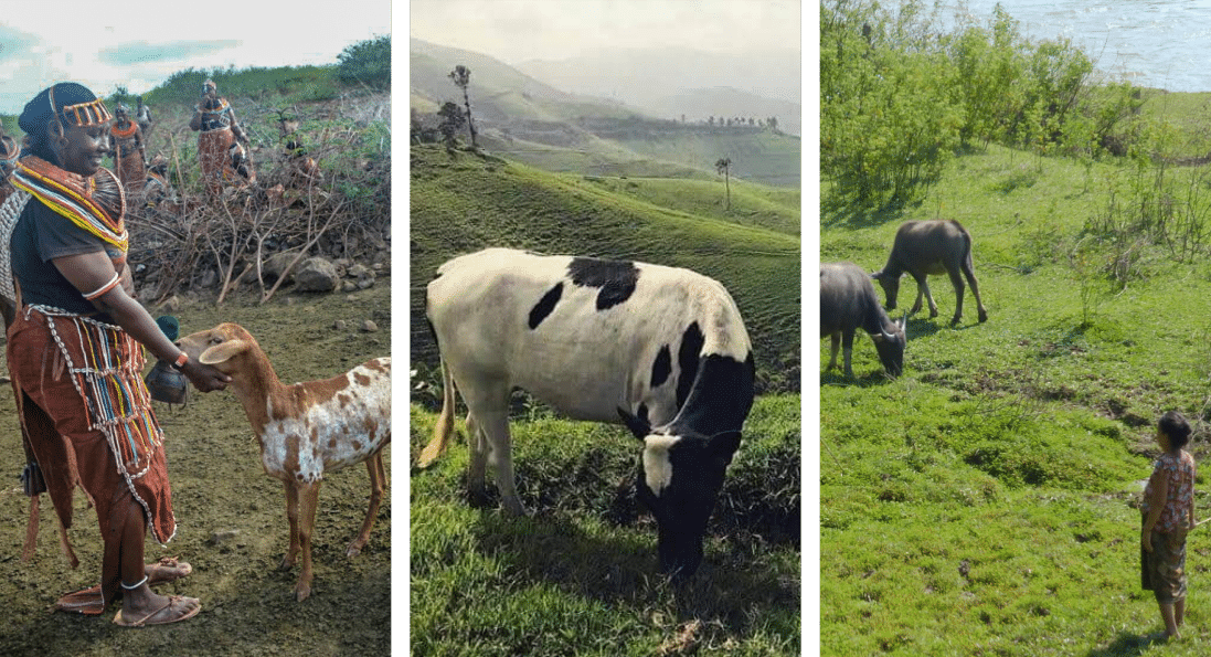 2-curioso-photography-QLOJS4bKNxg-unsplash_