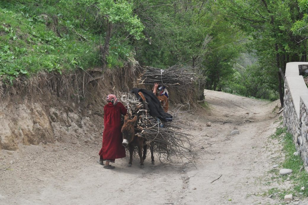 Daily woman's activities in Tajikistan. Photo by Noosfera