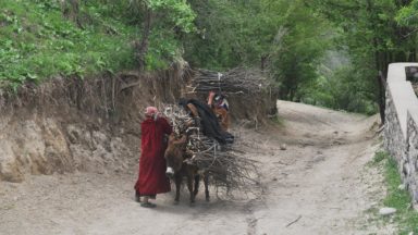 Daily woman's activities in Tajikistan. Photo by Noosfera