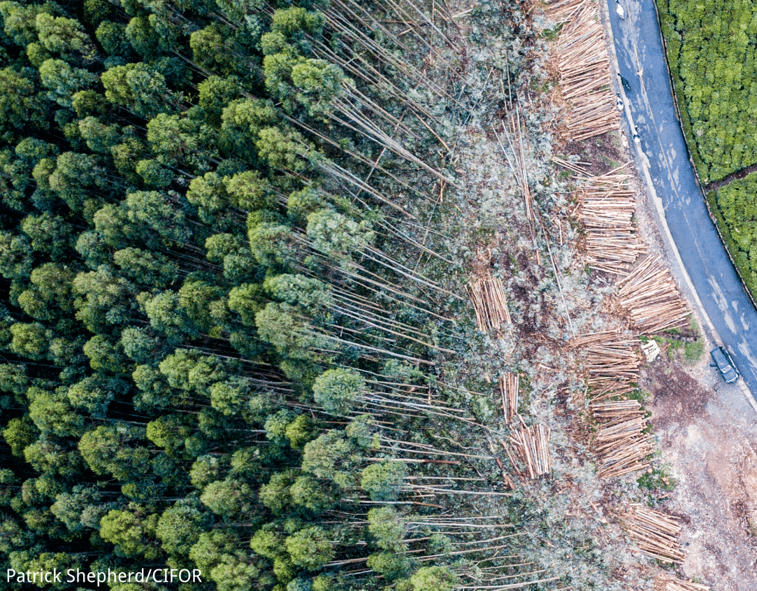 2-curioso-photography-QLOJS4bKNxg-unsplash_