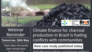 El financiamiento climático para la bioenergía y las plantaciones de árboles alimenta conflictos con las comunidades de Brasil