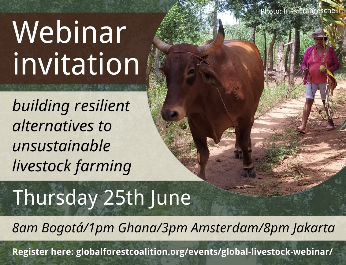 Global Forest Coalition Global livestock webinar Building resilient alternatives to
