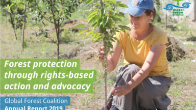 Rapport annuel 2019 de GFC: la protection de la forêt grâce à l’action et le plaidoyer basés sur la défense des droits
