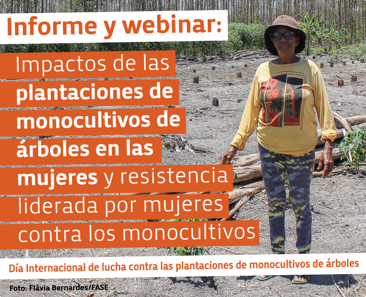 Impactos de las plantaciones de monocultivos de árboles en las mujeres y resistencia liderada por mujeres contra los monocultivos