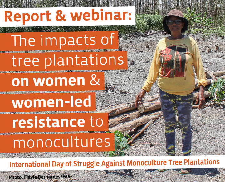 Global Forest Coalition The impacts of tree plantations on women &  women-led resistance to monocultures - Global Forest Coalition