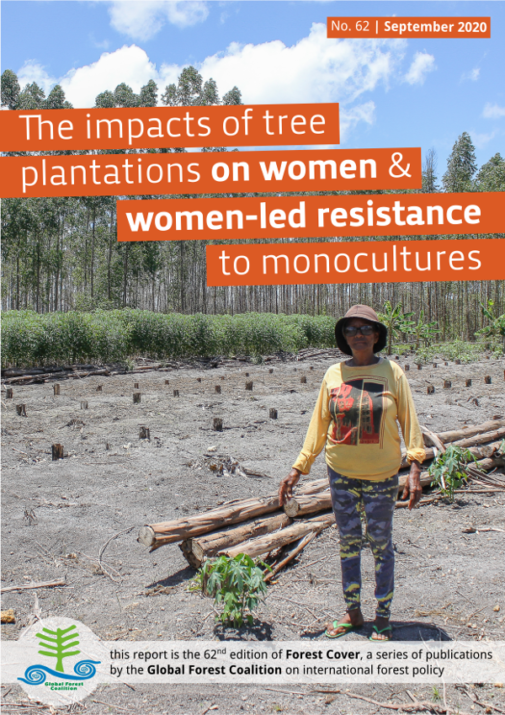 Global Forest Coalition The impacts of tree plantations on women