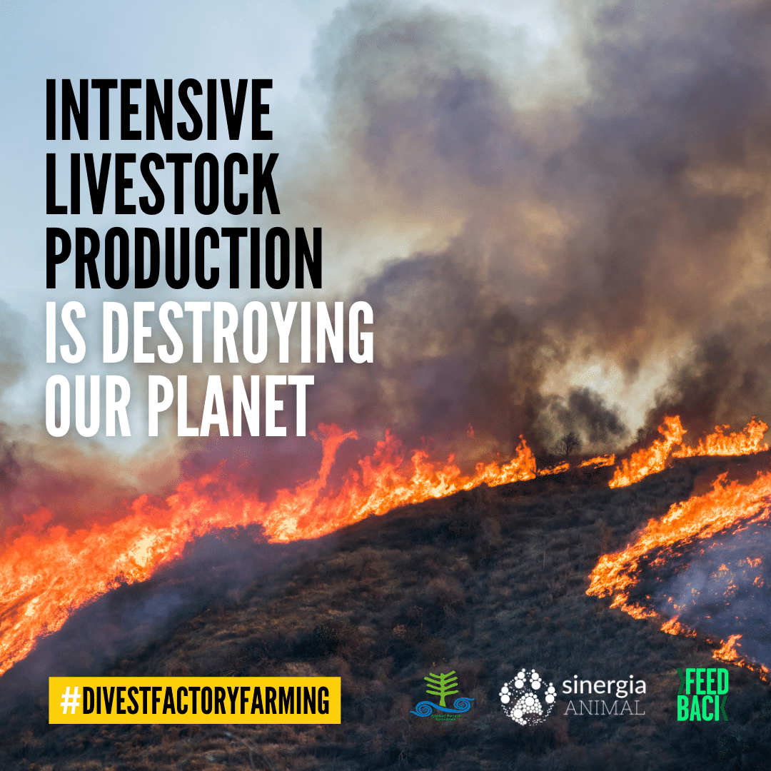 2-curioso-photography-QLOJS4bKNxg-unsplash_