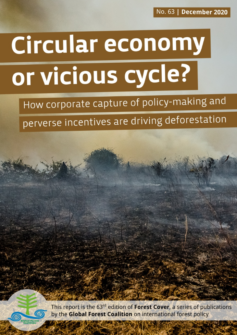 Cover of Circular economy or vicious cycle? How corporate capture of policy-making and perverse incentives are driving deforestation