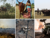 Contrasting food production models: forest destruction in Brazil vs forest conservation in Chad