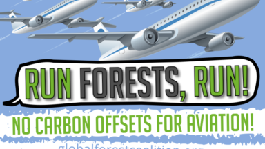 Airplanes and the slogan "Run Forests, Run! No Carbon Offsets for Aviation"