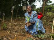 GFC Partners with WECF in the Green Livelihoods Alliance