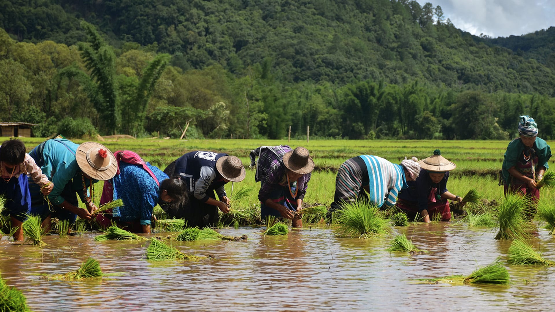 2-curioso-photography-QLOJS4bKNxg-unsplash_