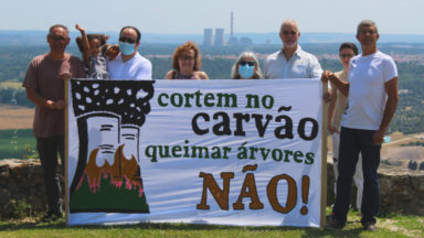 Over 60 groups publish open letter in opposition to a coal-to-biomass conversion in Portugal
