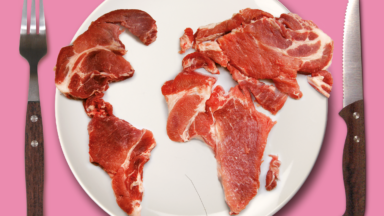 Meat Atlas 2021: Gender, poverty and livestock farming