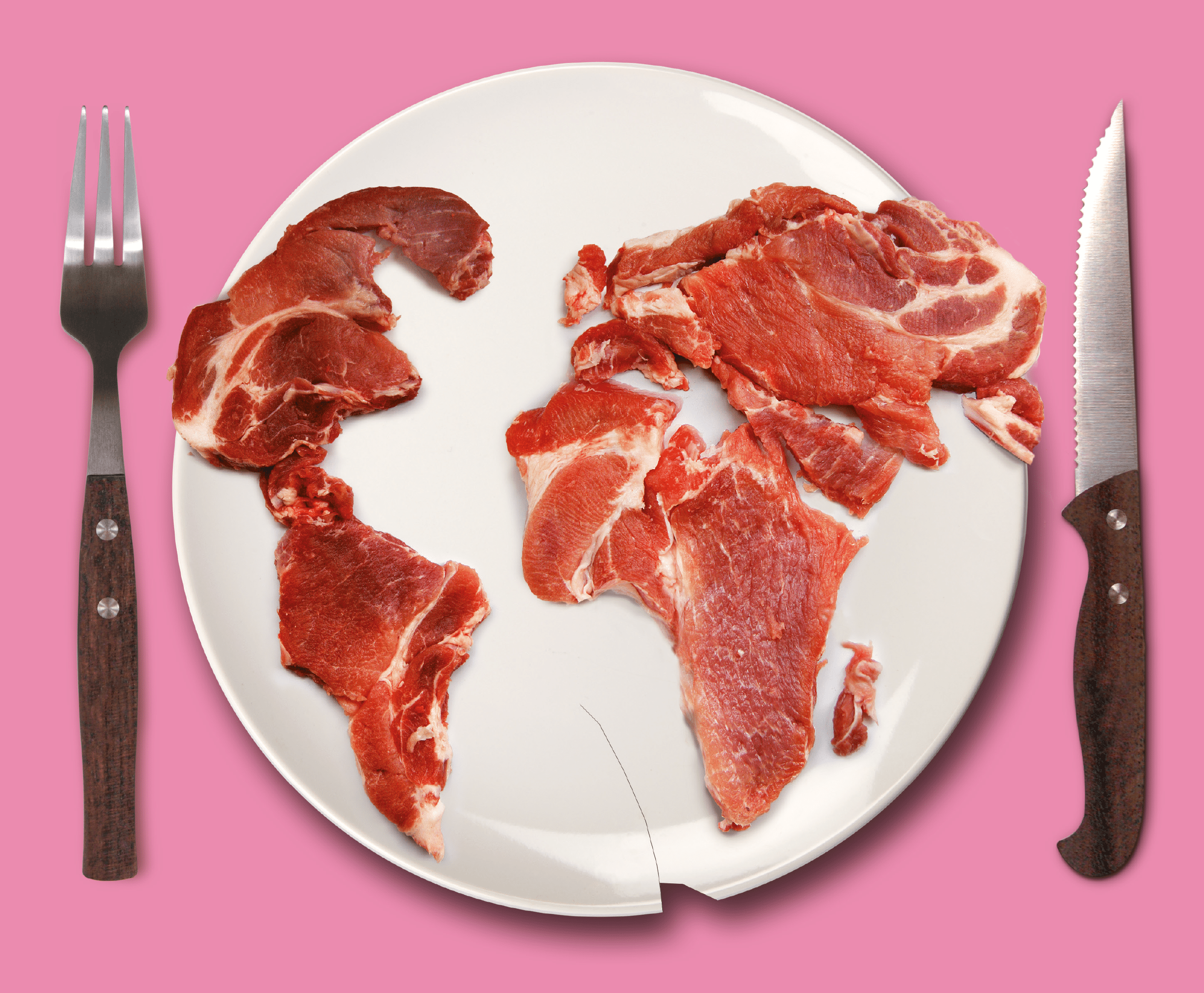 2-curioso-photography-QLOJS4bKNxg-unsplash_