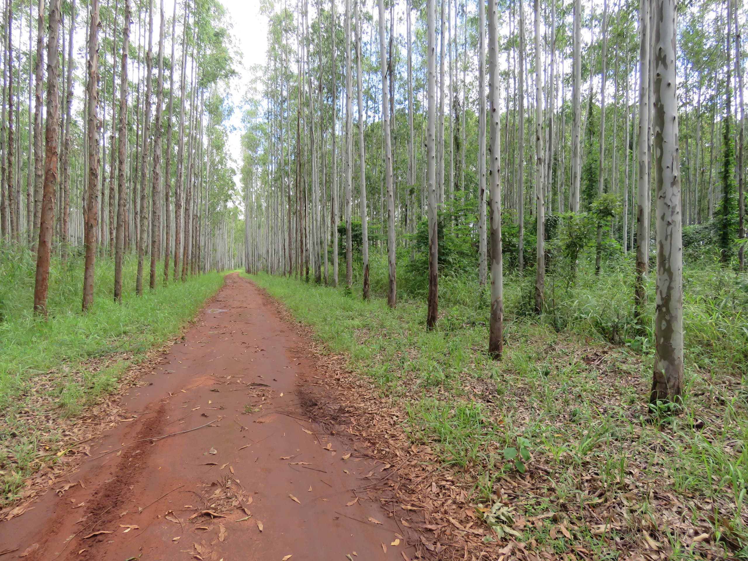 2-curioso-photography-QLOJS4bKNxg-unsplash_