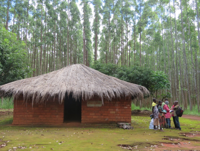 Village in Mozambique where tree plantations under AFR100 could cause conflict