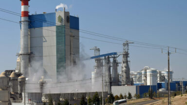 Arauco’s Valdivia biomass power station: carbon emissions and conflicts with Indigenous communities in Chile