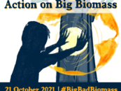 Join the International Day of Action on Big Biomass! 21 October 2021