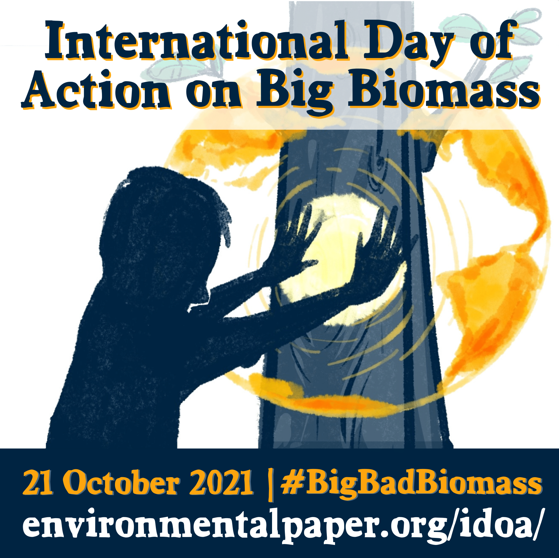 2-curioso-photography-QLOJS4bKNxg-unsplash_